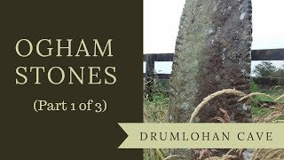 Ogham Stones  the Ancient Irish Alphabet at Drumlohan Cave Part 1 of 3 [upl. by Dang]