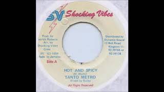 Tanto Metro ‎ Hot And Spicy 1994 Fireside Jam Riddim [upl. by Ttevi]