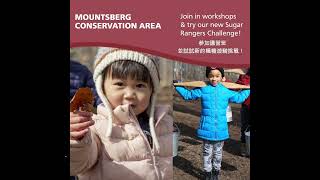 加拿大楓糖漿清甜又營養。安省Mountsberg and Crawford Lake Conservation Areas芒茨伯格和克勞福德湖保護區3月2號4月7號有楓糖節，好吃又好玩，小朋友更喜歡 [upl. by Airdnaed]