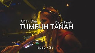 TUMBUH TANAH  SPADIX 28 REMIX CHA CHA DISTAN [upl. by Mansoor]