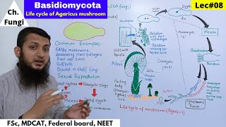 Basidiomycota  Life Cycle of Agaricus mushroom  Bio Part 01  Lec08 [upl. by Llain237]