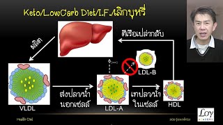 ยาลดไขมันฆ่าคุณ วิธีดูผลเลือด LDL ขอให้ทำ4ข้อ ก่อนกินยา EP15 [upl. by Danby]