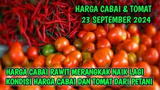 Harga cabai merah hari ini 23 September 2024  Info harga tomat dan cabai saat ini di Jawa Timur [upl. by Ardnikal]