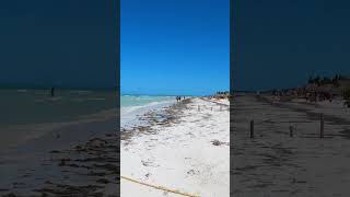 Holbox en el Caribe mexicano [upl. by Anaihs]