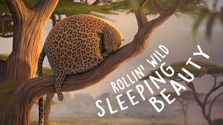 ROLLIN SAFARI  Sleeping Beauty  Official Trailer ITFS 2013 [upl. by Notgnimer]