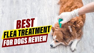 Best Flea Treatment for Dogs in 2024 A Comprehensive Review [upl. by Airreis526]