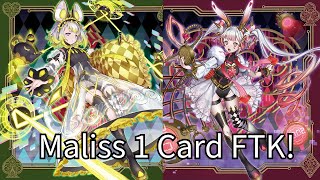 New 1 Card FTK Maliss P Dormouse is All You Need [upl. by Tterraj517]