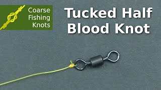 Tucked half blood knot  How to tie [upl. by Alpers350]