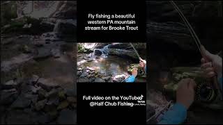 Epic fly eat fishing flyfishing nature beautiful [upl. by Neeliak]