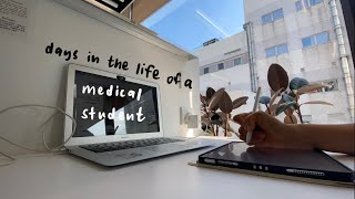 days in the life of a medical student at cuhk  first week of school 🏫 [upl. by Bainbridge687]