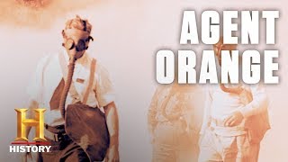 What Is Agent Orange  History [upl. by Everard611]