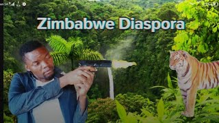 Zimbabwean Diaspora  Shona  Movie [upl. by Anett261]