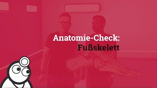 AnatomieCheck Das Fußskelett [upl. by Stubstad]