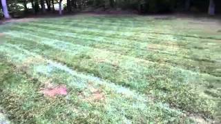 Lawn Care Rookie Quick Tip 1 Clumping fix [upl. by Eanert]