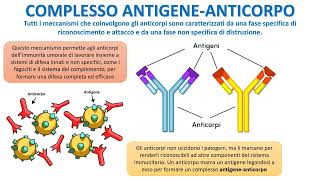 LA RISPOSTA IMMUNITARIA UMORALE [upl. by Anhcar]