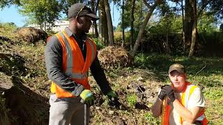 Summer Kudzu Removal in Spartanburg is Hard Hot Work [upl. by Atonsah]