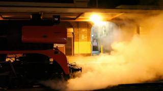 Australian Steam Trains  R761 gets serviced at Bendigo [upl. by Iad107]