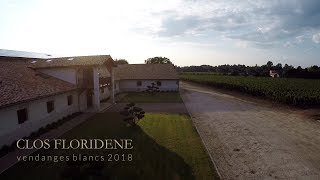 Vendanges 2018 Blanc Clos Floridene [upl. by Anigue]