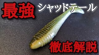 どうしても釣りたい人は絶対に使って欲しい最強シャッドテールを徹底解説「バス釣り」「釣れるワーム」「初心者」 [upl. by Aggri]