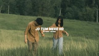 Jo Tum Mere Ho Slowed  Reverb Anuv Jain  Ameen Fahim [upl. by Dionysus663]