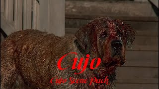 Cujo Scene Pack  Cujo [upl. by Mazonson]