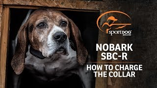 SportDOG Brand® NoBark SBCR  How To Charge The Collar [upl. by Far]