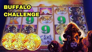 Playing Buffalo Gold Until We Hit A Life Changing Jackpot [upl. by Labotsirc]