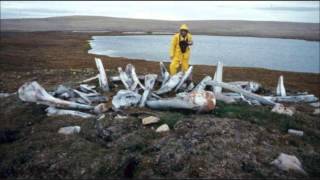 Inuit Country Food [upl. by Araed]