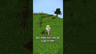 The MOST hidden minecraft version 👀🧺 [upl. by Mareld]