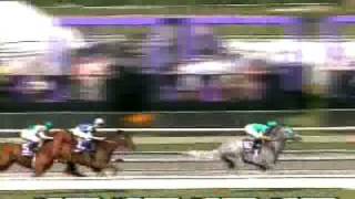 2008 Breeders Cup Mile [upl. by Mello]