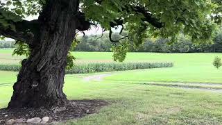 Haskins Farm built in 1843 Bainbridge Ohio September 2024 [upl. by Yra]