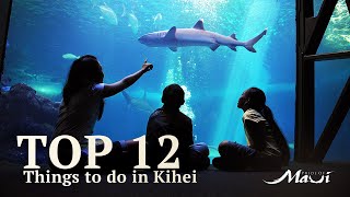 Top 12 Things to Do in Kihei  Best Maui Activities [upl. by Gabriele969]