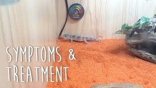 Symptoms amp Treatment of Sand Impaction in Leopard Geckos [upl. by Therron]