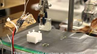 Magnetically Actuated MicroRobots for Advanced Manipulation Applications [upl. by Saul]