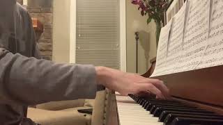 Mariners Apartment Complex  Lana Del Rey Piano Cover [upl. by Ahselet]