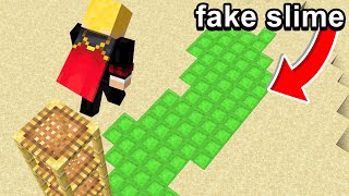 Fooling my Friend with FAKE SLIME in Minecraft [upl. by Frymire]