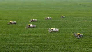 Seven Units Detasseling Corn in Central Illinois [upl. by Luelle1]