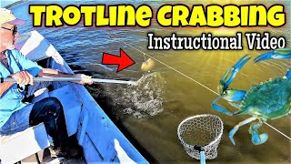 Trotline Crabbing How To Video Everything You Need to Know [upl. by Okiram266]