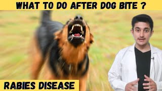 Rabies disease hindi 3d animation  What to do after dog bite  cause symptoms human  rabies virus [upl. by Enileme]