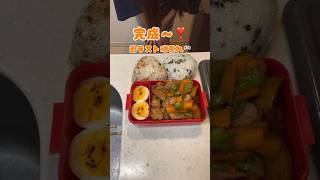 夫に捧ぐ❣️鶏のさっぱり煮弁当🐥⸒⸒お弁当 お弁当作り 簡単レシピ 料理 鶏もも肉 鶏肉 野菜 煮物 おにぎり 主婦 毎日弁当 lunchbox cooking [upl. by Charleen]