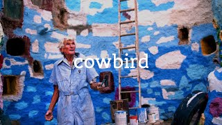 Cowbird  A Life Story 2014 [upl. by Oremo]