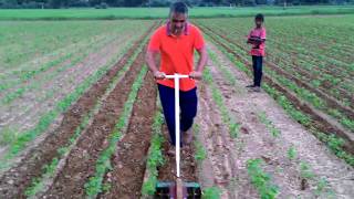 Easy make Inter cultivator for vegetable and weed control [upl. by Niak]