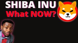 SHIBA INU  New Price Predictions [upl. by Noirret]