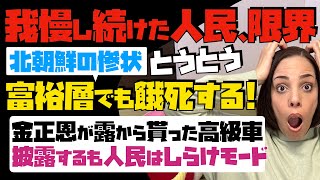 【我慢し続けた人民、もう限界】北朝鮮の惨状！とうとう富裕層までも餓死する。金正恩が露から貰った高級車を披露するも人民はしらけモード… [upl. by Hamilton266]