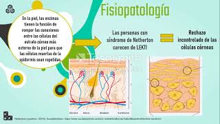 Síndrome de Netherton [upl. by Anallese371]