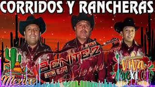 Los Benitez Dela Sierra  Las Mejores Canciones  Corridos Y Rancheras  Mix Para Pistear [upl. by Ialocin]