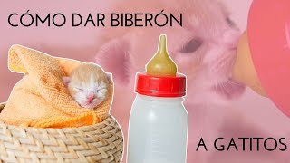 🍼😥¿ESTÁS PREPARANDO EL BIBERÓN A TU BEBÉ CORRECTAMENTE  Baby Suite by Pau [upl. by Aicilic]