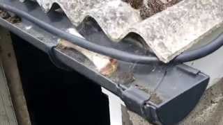 Dangers of an Asbestos corrugated roof [upl. by Vey573]