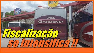 A situação da Gardênia só se Complica com as Fiscalizações [upl. by Dnalrag]