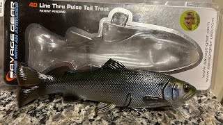 Quick easy tip How to rig up a 8” Savage Gear 4D Line Thru Pulse Tail Trout SavageGear [upl. by Illoh327]